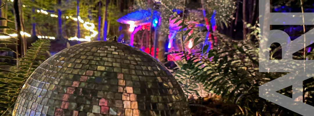 art disco ball in lit up in the woods